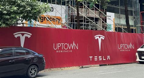 snuzu tesla|Snuza Philippines .